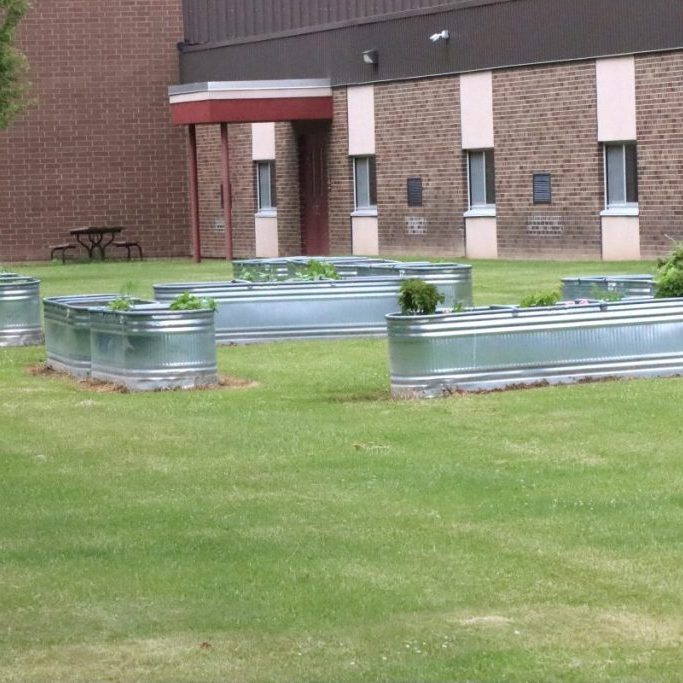 Community garden